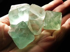 Lot five fluorescent for sale  Salt Lake City