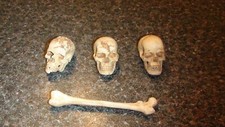 6th scale human for sale  ABERDARE