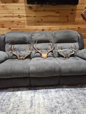 Large whitetail deer for sale  Clear Lake