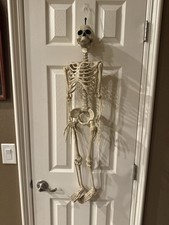 Spooky halloween skeleton for sale  Las Vegas