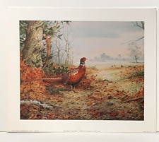 Single pheasant reproduction for sale  STOURPORT-ON-SEVERN
