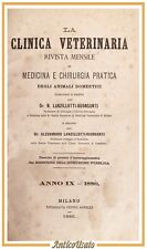 Clinica veterinaria annata usato  Bari