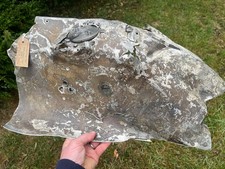 Ww2 battle britain for sale  LEOMINSTER