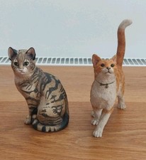 ginger tabby for sale ginger tabby for sale WHITCHURCH