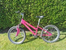Harmony ridgeback girls for sale  LLANDUDNO JUNCTION