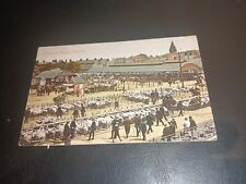Full cattle market for sale  LEYBURN