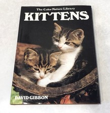 Kittens gibbon david for sale  Kennewick
