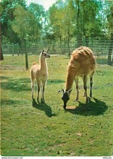 Animaux zoologique montevran d'occasion  Fruges