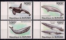 Burundi 2011 killer usato  Italia