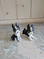 Vintage boston terrier for sale  Camarillo
