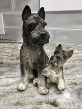 Miniature schnauzer dog for sale  Caledonia