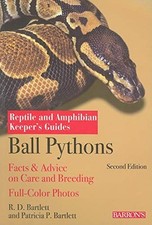 Ball pythons reptile for sale  USA