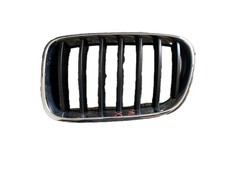 Griglia radiatore ant usato Griglia radiatore ant usato  Italia