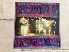 Temple the dog usato Temple the dog usato  Varese