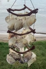 Tiered saddle oyster for sale  Hammond