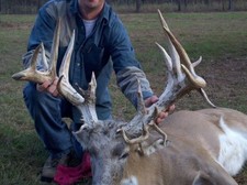 Whitetail deer farm for sale  Monticello