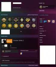 Steam account cs2 gebraucht kaufen  Trier