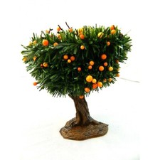 Albero con arance usato  Napoli