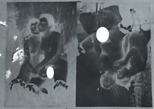 Photo plaque verre d'occasion  Cavaillon