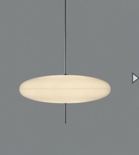 Large pendant light for sale  Freeport