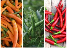 Mixed chillies toofan for sale  WOODBRIDGE