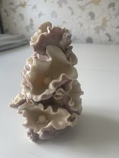 Clamshell bioengineering halo for sale  TAMWORTH