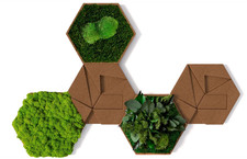 Stylegreen kork hexagon gebraucht kaufen Stylegreen kork hexagon gebraucht kaufen  Mönchengladbach