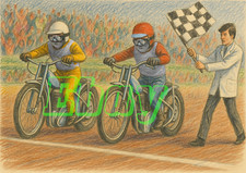Speedway race line for sale  STOCKTON-ON-TEES