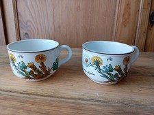 Tasses botanica villeroy d'occasion  Parentis-en-Born
