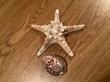 Genuine star fish for sale  READING