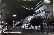 Cartolina senigallia ancona usato  Treviso Bresciano