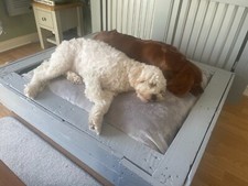 Xxl wooden dog for sale  DONCASTER