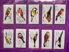 British birds complete for sale  UK