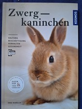 Zwergkaninchen haltung beschä gebraucht kaufen  Saarbrücken