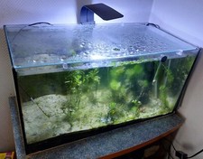 Aquarienzubehör flache abdeck gebraucht kaufen  Kaiserslautern