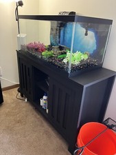 Gallon fish tank for sale  Council Bluffs