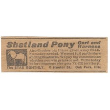 Shetland pony cart for sale  Hinckley