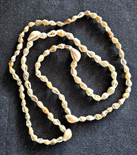 Tiny seashell necklace for sale  Tucson