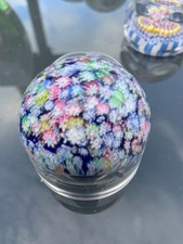 Perthshire miniature alladins for sale  HARROGATE