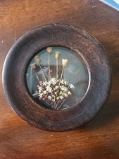 Usado, Vidro bolha convexo vintage com moldura de madeira redondo flores secas comprar usado  Enviando para Brazil