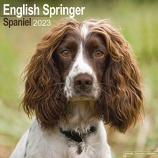 Calendrier 2023 springer d'occasion  Troyes