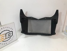 Carena griglia radiatore usato  Rozzano