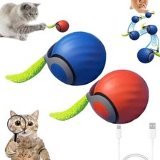 Speedy tail cat for sale  Hebron