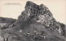 Salins bains mont d'occasion Salins bains mont d'occasion  France