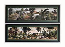 Large age reptiles for sale  Brooklyn