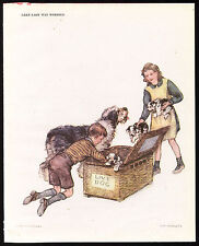 Girl boy old for sale  COLEFORD