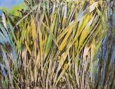 Quadro natura dipinto usato  Novara
