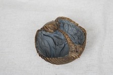 Banded armadillo taidermy for sale  MACCLESFIELD