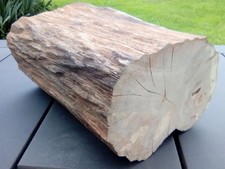 Baumstamm holzstamm buche gebraucht kaufen  Haag a.d. Amper