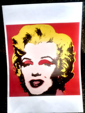Warhol serigrafia usato  Latina